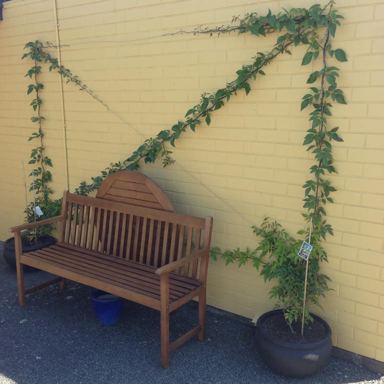 Mount View Motel 하웨라 외부 사진